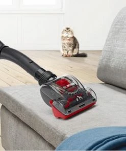 Korting ???? Bosch ProAnimal BGS7PET - Serie | 8 - Stofzuiger Zonder Zak ???? 21 Korting ???? Bosch ProAnimal BGS7PET - Serie | 8 - Stofzuiger Zonder Zak ???? -Yoshiko Shop 550x309 272