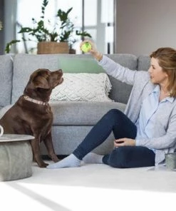 Uitgang ???? BISSELL 1858N ProHeat 2x Revolution - Tapijtreiniger ???? -Yoshiko Shop 550x366 34