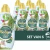 Uitgang ???? Robijn Klein & Krachtig Collections Kokos Vloeibaar Wasmiddel - 6 X 19 Wasbeurten - Voordeelverpakking ???? -Yoshiko Shop 550x472 1