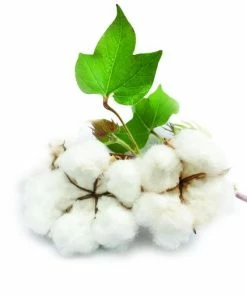 Kopen ???? BLACK+DECKER DVA325JP07-QW - Kruimeldief - 10.8V - 500ml Opvangbank ⌛ -Yoshiko Shop 550x522 2