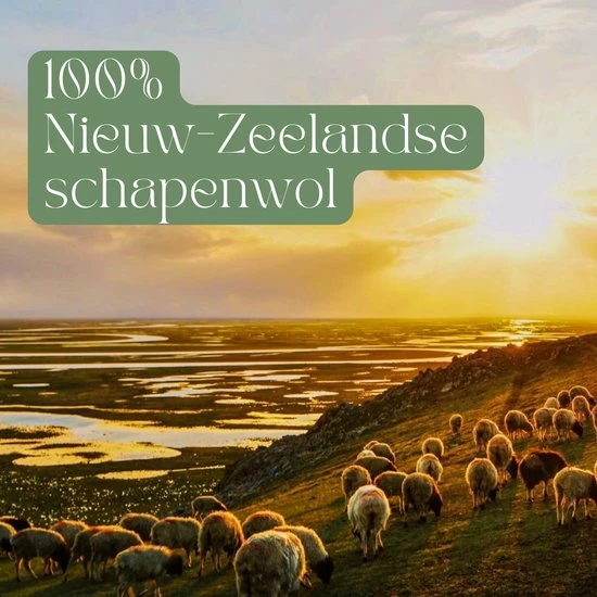 Gloednieuw ???? Miki's Goods® XL Wollen Drogerballen 6 Stuks - Panda Wasballen - Duurzaam - Wasbol - 100% Nieuw-Zeelandse Schapenwol - Wasbollen - Herbruikbaar- Droogballen - Snellere Droogtijd - Zuigt Dierenharen Op ???? 8 Gloednieuw ???? Miki's Goods® XL Wollen Drogerballen 6 Stuks - Panda Wasballen - Duurzaam - Wasbol - 100% Nieuw-Zeelandse Schapenwol - Wasbollen - Herbruikbaar- Droogballen - Snellere Droogtijd - Zuigt Dierenharen Op ???? - Afbeelding 6