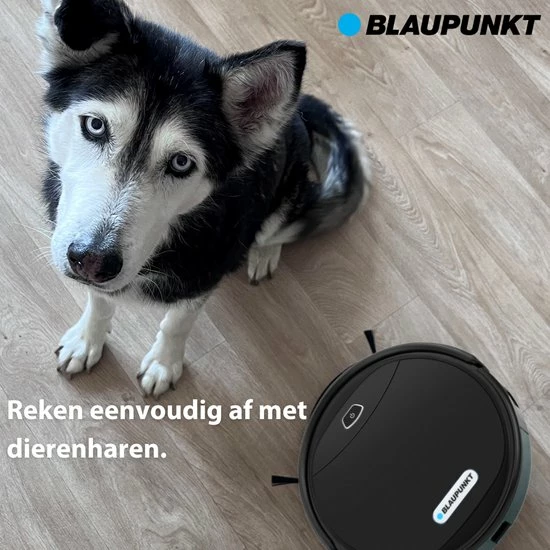 Kopen ???? Blaupunkt Bluebot XPOWER Robotstofzuiger - 3in1 Robotstofzuiger Met Dweilfunctie - Stofzuiger Met App ???? 9 Kopen ???? Blaupunkt Bluebot XPOWER Robotstofzuiger - 3in1 Robotstofzuiger Met Dweilfunctie - Stofzuiger Met App ???? - Afbeelding 7