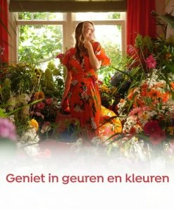 Beste recensies van ???? Robijn Klein & Krachtig Classics Morgenfris Vloeibaar Wasmiddel - 8 X 19 Wasbeurten - Voordeelverpakking ???? 16 Beste recensies van ???? Robijn Klein & Krachtig Classics Morgenfris Vloeibaar Wasmiddel - 8 X 19 Wasbeurten - Voordeelverpakking ???? -Yoshiko Shop 550x550 251