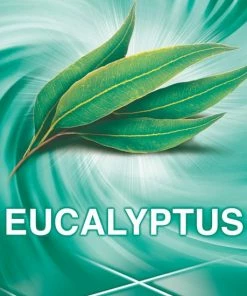 Promo ???? Ajax Allesreiniger Eucalyptus 6 X 1.25L - Voordeelverpakking ✔️ 13 Promo ???? Ajax Allesreiniger Eucalyptus 6 X 1.25L - Voordeelverpakking ✔️ -Yoshiko Shop 550x550 406