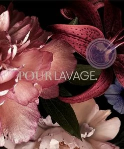 Begroting ???? Lavayette Premium Wasparfum 500ml / White Musk / Zen Zones / Geurbooster / 50 Wasbeurten ???? -Yoshiko Shop 550x550 430