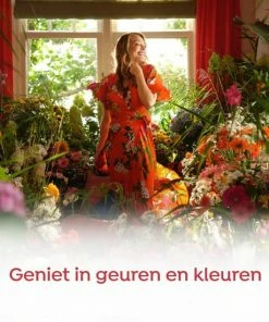 Beste recensies van ✨ Robijn Klein & Krachtig Rosé Chique Vloeibaar Wasmiddel - 8 X 19 Wasbeurten - Voordeelverpakking ???? -Yoshiko Shop 550x550 667